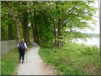 Access path at Swinsty Reservoir Access path at Swinsty Reservoir - Photo by Frank Firth (http://www.yorkshirewalks.org)