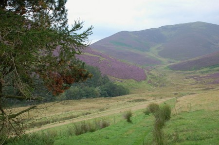 John Buchan Way - path to Broughton Hope