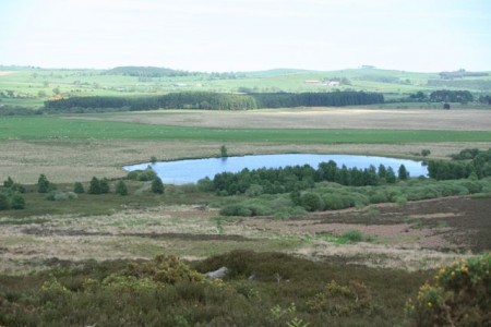 Kimmer Lough