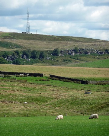 Shitlington Crags near Bellingham