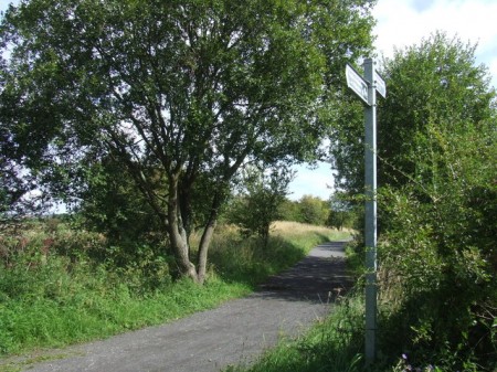 Railway path near High Moorsley