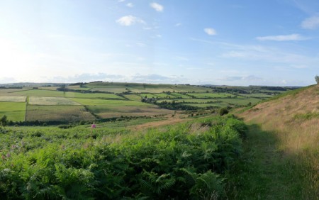Hedleyhope Fell Nature Reserve