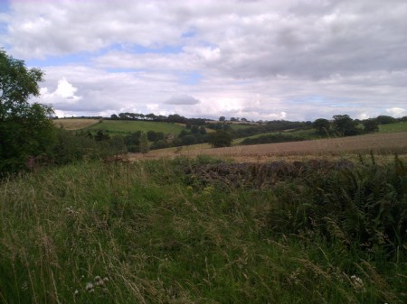Looking across the valley of the Watergate Burn from the junction with Healeyfield Lane.