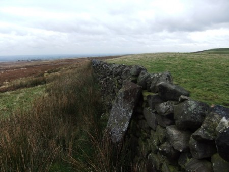 Badger Stoop Waymark