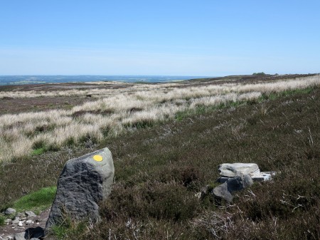 Stone with Waymark on Barningham Moor