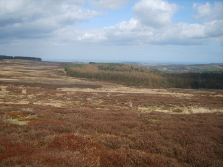 Looking towards the coast from Guisborough Moor