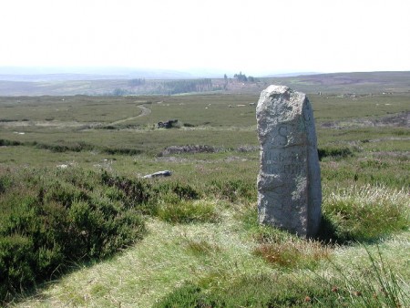 Boundary Stone at Hob on the Hill