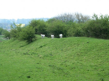 pekerjaan tanah pada Stanvick Iron Age kamp image