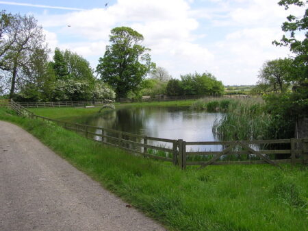 Pond at Heworth House Farm, also the site of the Medieval Village of Heworth (11th century)