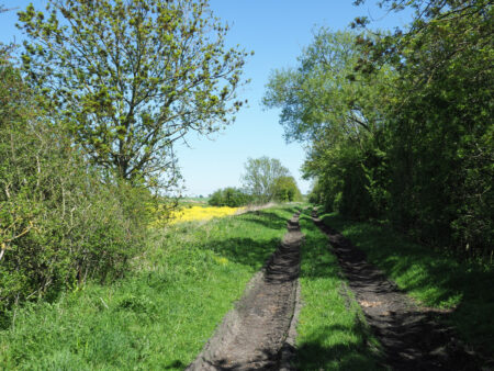 Clarence Railway Trackbed at Preston-le-Skerne.