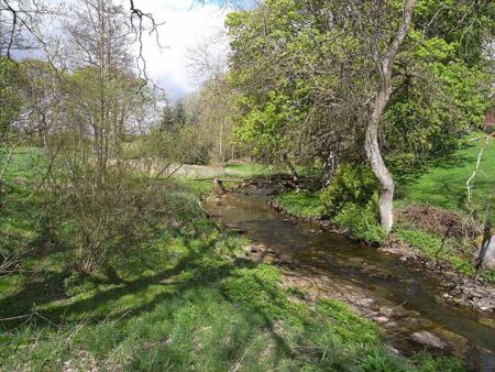 River Wansbeck at Kirkwhelpington